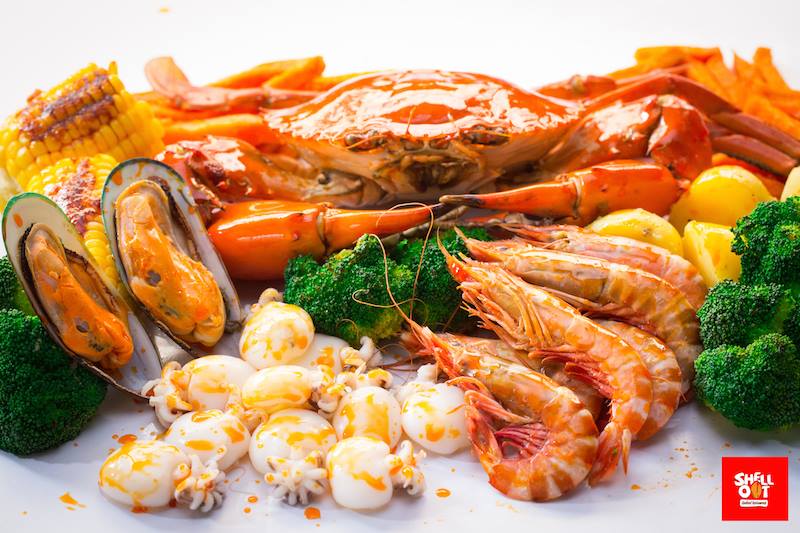 Shell Out | RasaHub